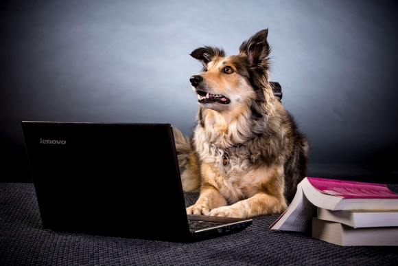 מרקר טריינינג אתר קורסים